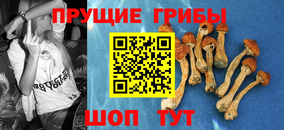Галлюциногенные грибы мухоморы  Вход с VPN  Сатка 