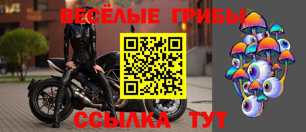 Псилоцибиновые грибы ЛСД Сатка